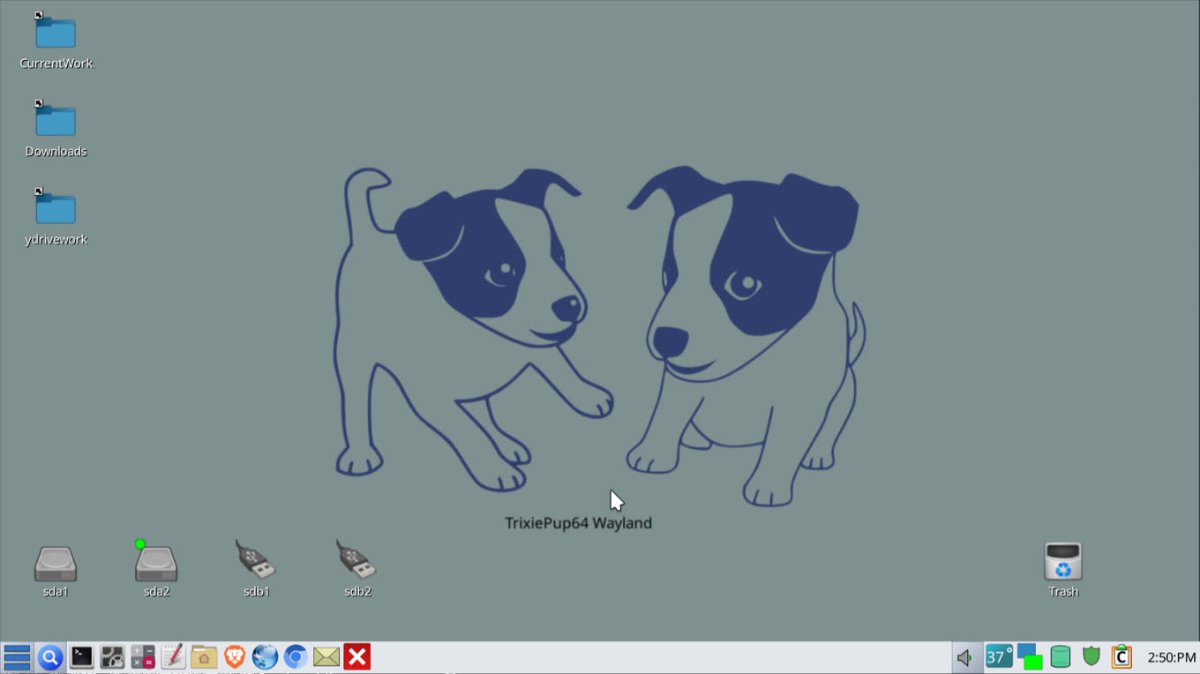 TrixiePup64-Wayland-2601-260201.iso screenshot 1