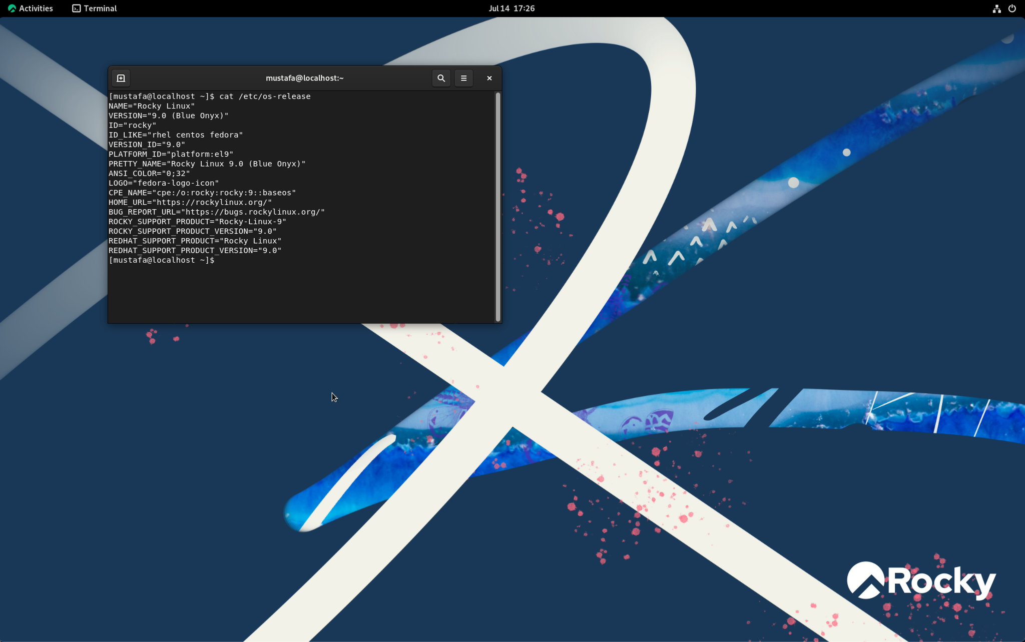 Rocky 8.10 x86 64 DVD1 screenshot 1