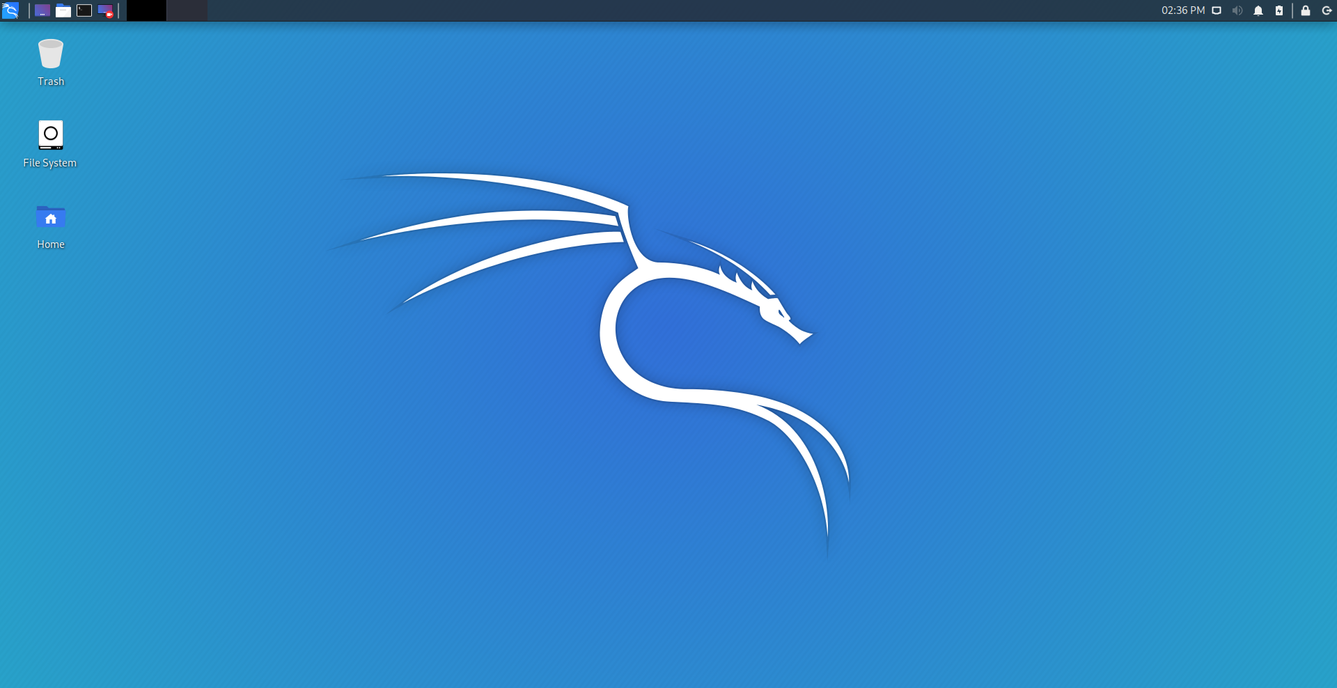 kali-linux-2019.3-vbox-amd64.ova screenshot 1