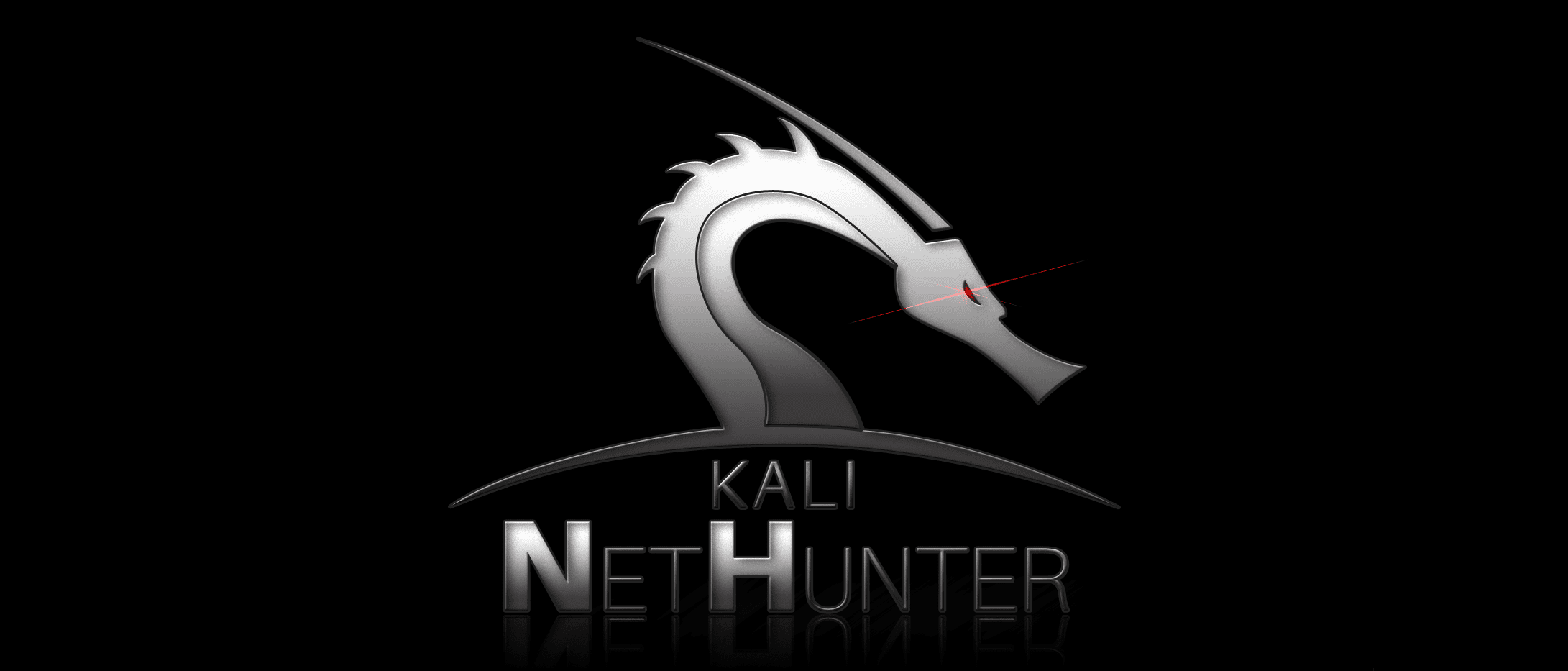 Kali Nethunterpro 2024.1 Pinephone Phosh IMG TAR XZ screenshot 1