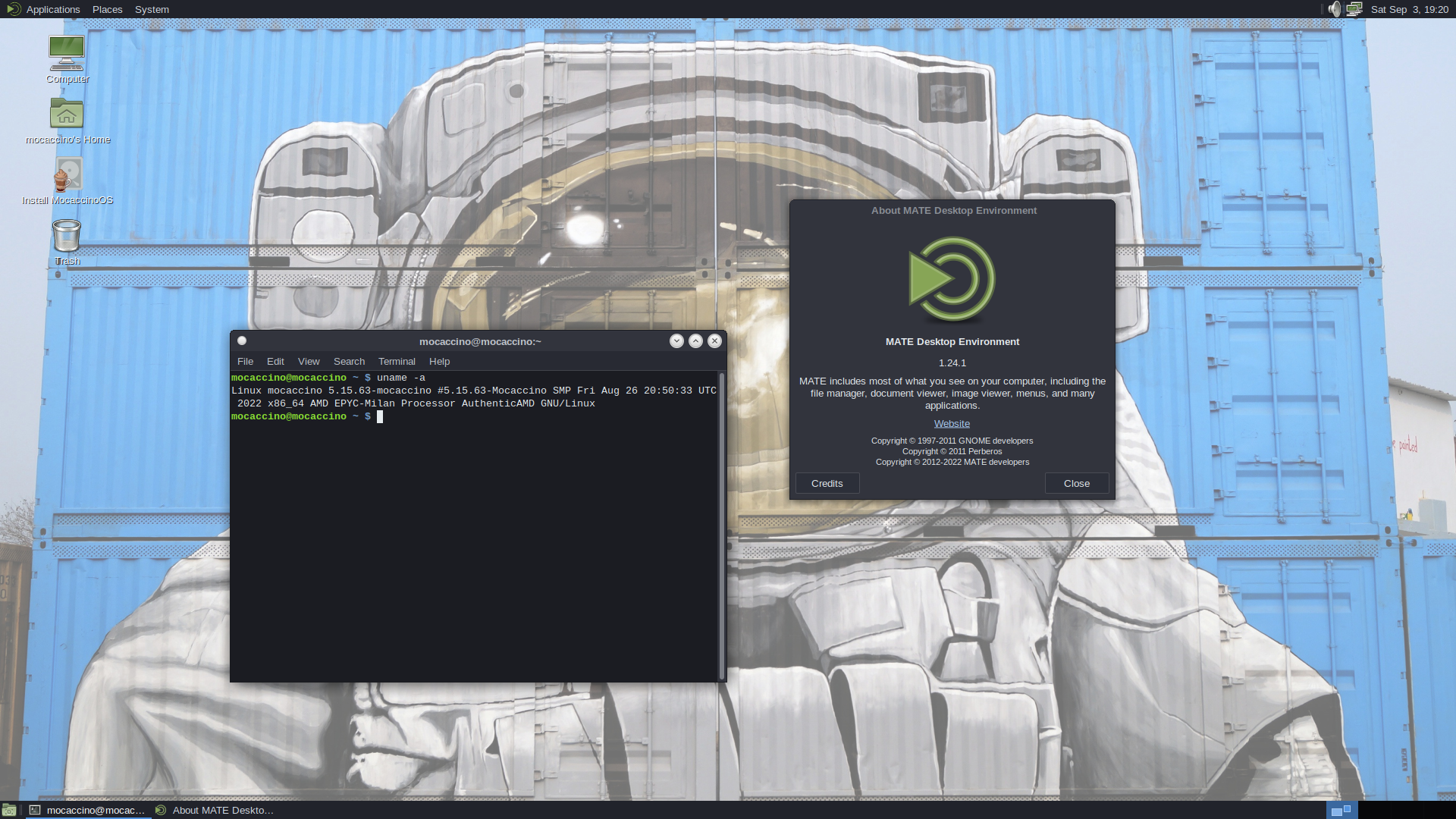 MocaccinoOS-MATE-0.20220903.iso screenshot 1