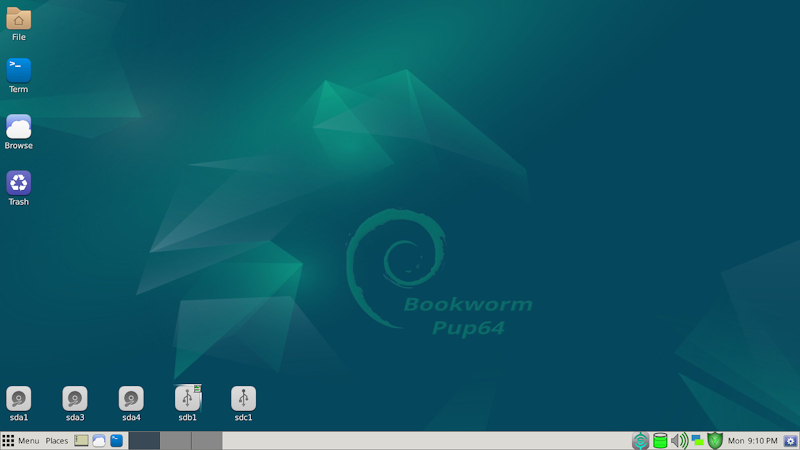 Puppy Linux Bookwormpup64 10.0.3 ISO screenshot 1