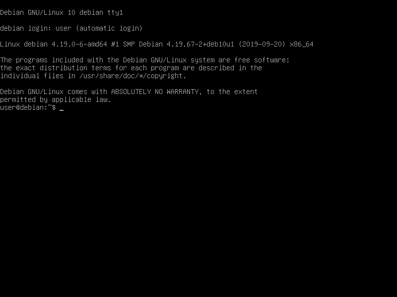 debian-live-10.2.0-amd64-standard.iso screenshot 1