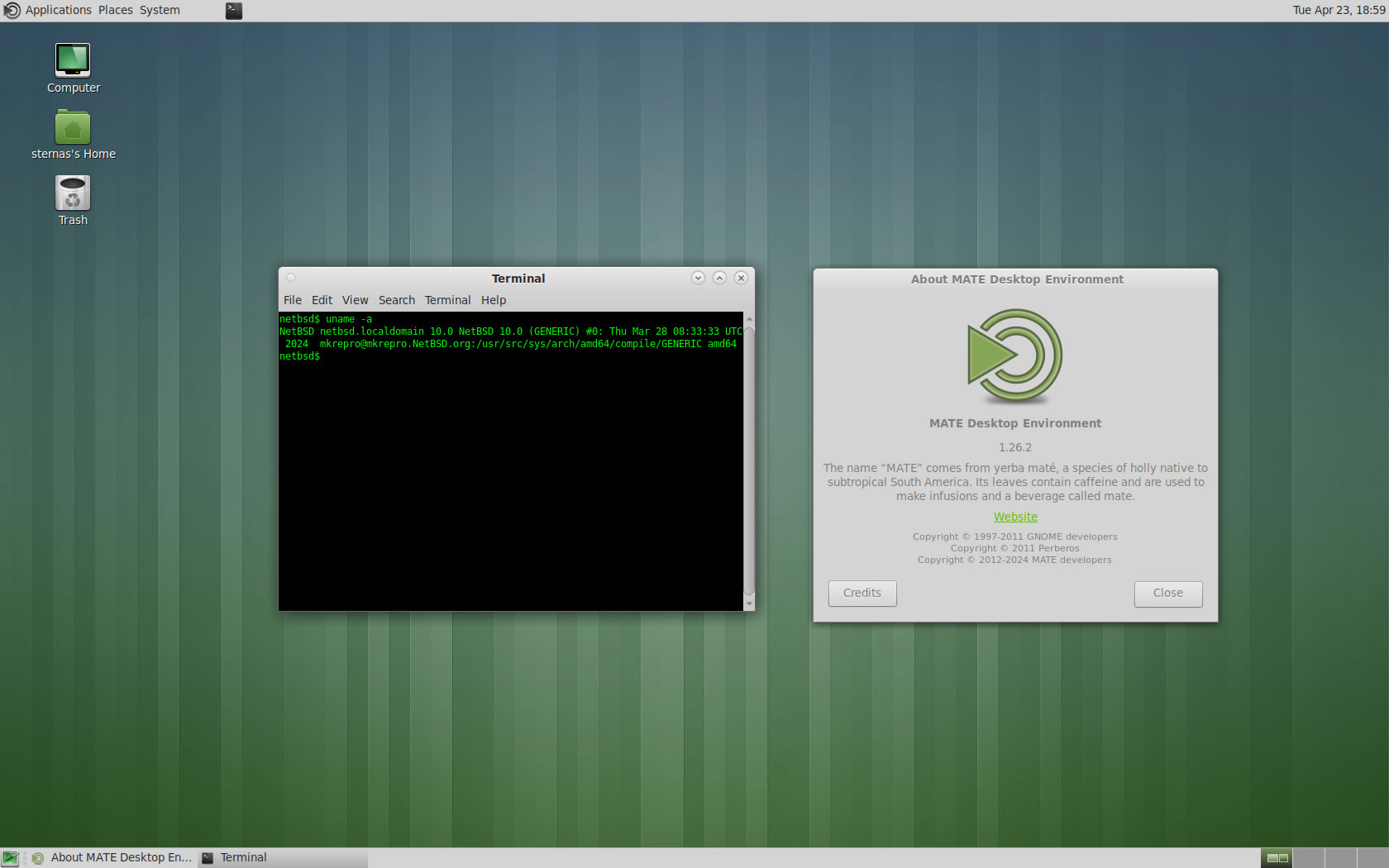 NetBSD-10.1-amd64-bios-install.img.gz screenshot 1