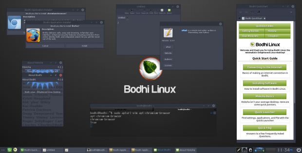 bodhi-4.4.0-apppack-64.iso screenshot 1