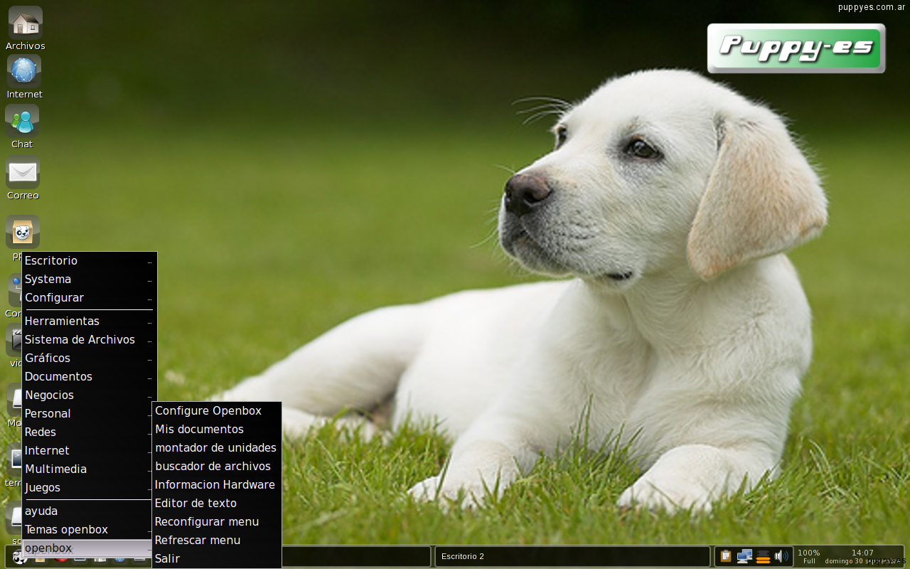 Puppy-es OS Passaggio screenshot 1