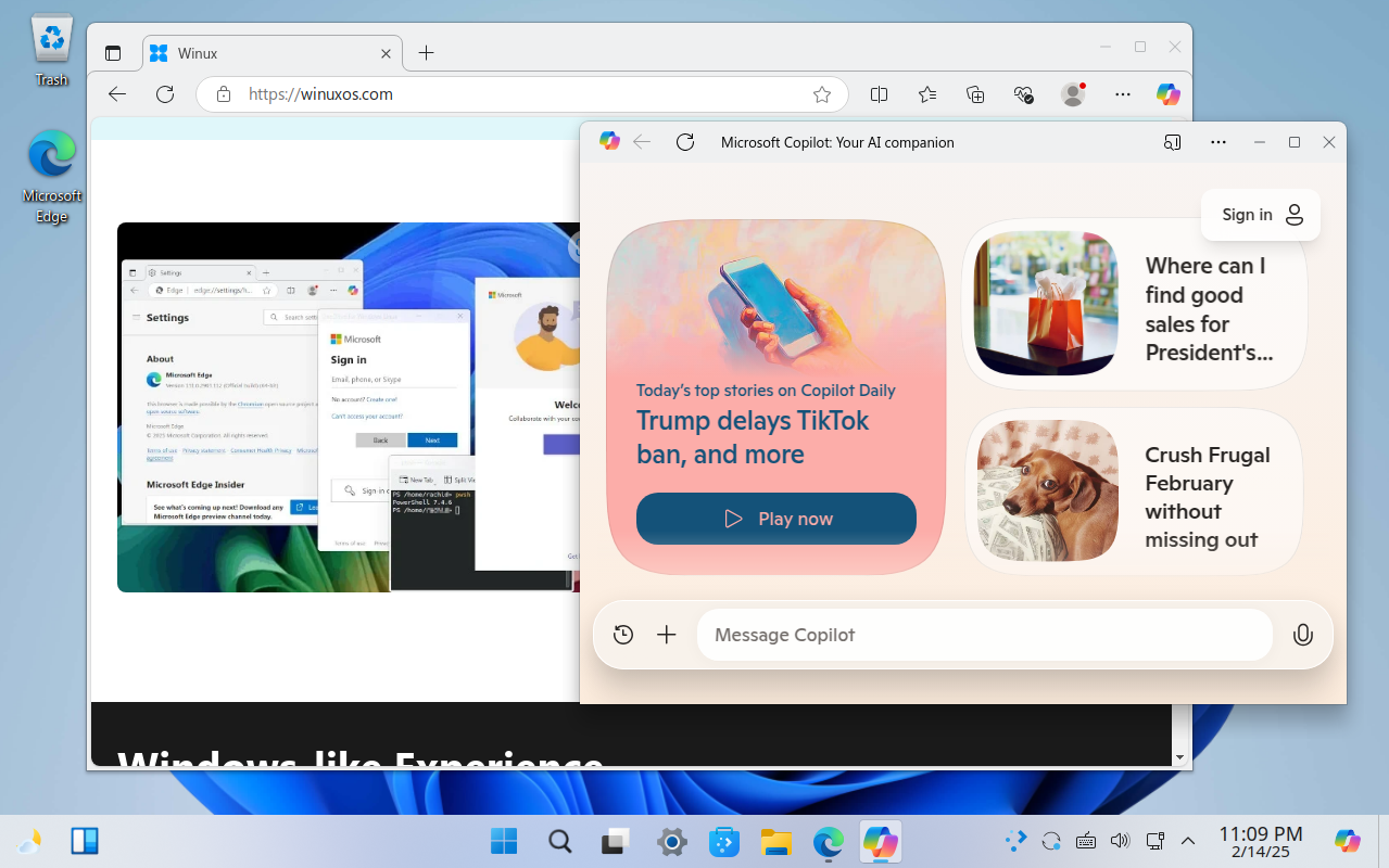 winux-11.25.02-noble-lts.iso screenshot 3